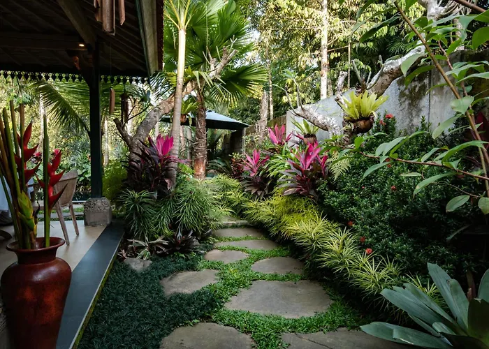 Villa Wana Eco *